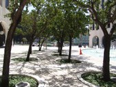 Enlarge photo 41