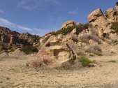 Enlarge photo 35