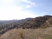 Enlarge photo 37