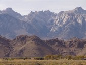 MT WHITNEY