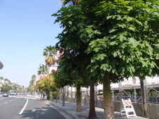 Enlarge photo 62