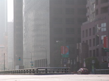 Enlarge photo 93