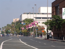 Enlarge photo 97