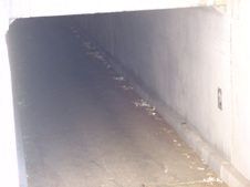 Enlarge photo 53