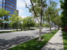 Enlarge photo 33