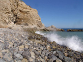 Enlarge photo 25
