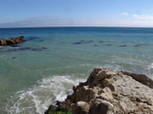 Enlarge photo 30