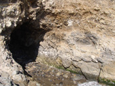 Enlarge photo 40