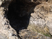Enlarge photo 42