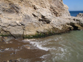 Enlarge photo 43
