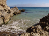 Enlarge photo 44