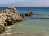 Enlarge photo 45