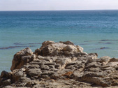 Enlarge photo 46