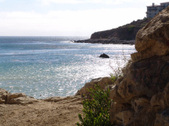 Enlarge photo 47