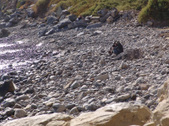 Enlarge photo 49