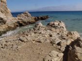 Enlarge photo 51