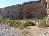Enlarge photo 54