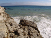 Enlarge photo 55