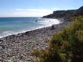 Enlarge photo 56