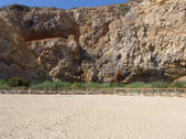 Enlarge photo 59