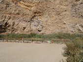 Enlarge photo 60