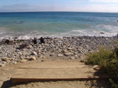 Enlarge photo 61