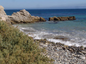 Enlarge photo 62