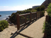 Enlarge photo 64