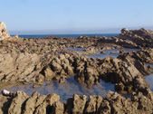 Enlarge photo 25