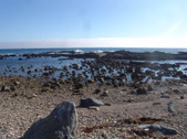 Enlarge photo 34