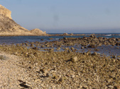Enlarge photo 37