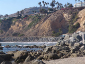 Enlarge photo 40