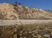 Enlarge photo 41