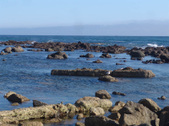 Enlarge photo 46