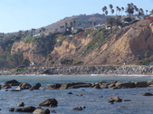 Enlarge photo 48
