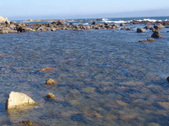 Enlarge photo 50