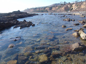 Enlarge photo 51