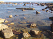 Enlarge photo 52