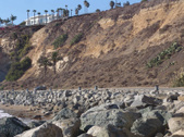 Enlarge photo 63