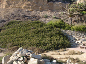 Enlarge photo 65
