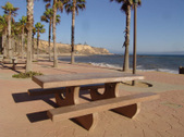 Enlarge photo 70