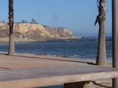 Enlarge photo 71