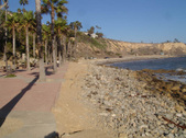 Enlarge photo 73