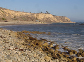 Enlarge photo 75