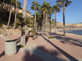 Enlarge photo 77