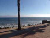 Enlarge photo 79