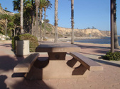 Enlarge photo 81