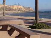 Enlarge photo 82