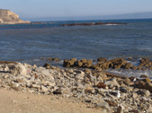 Enlarge photo 83