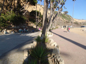 Enlarge photo 85